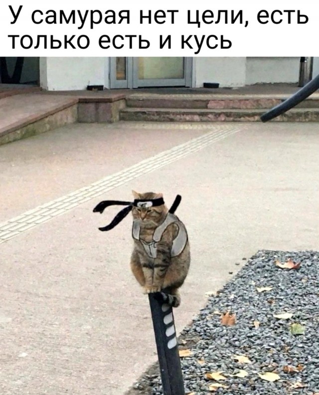Картинки с надписями и всякие жизненные фразы