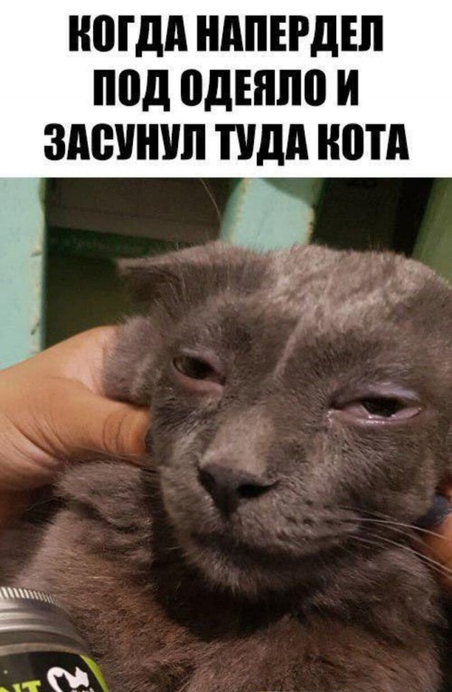 Напердел
