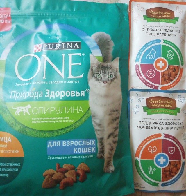 Котоманы, как не разориться на кормежке котов?