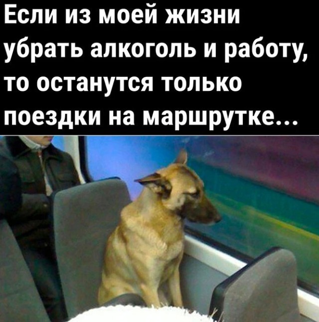 Алкопост 25.06.22