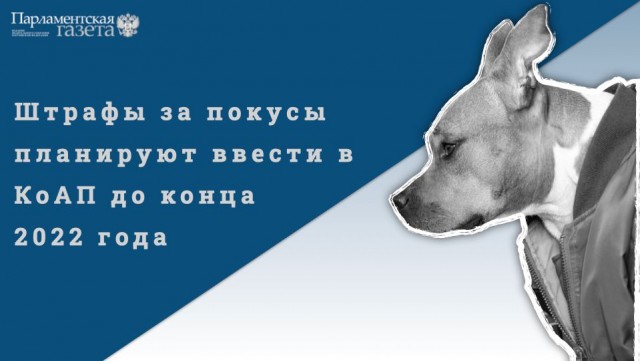 Пандемия съехавших крыш - разновидности болезни. Россия и мир. Часть 37