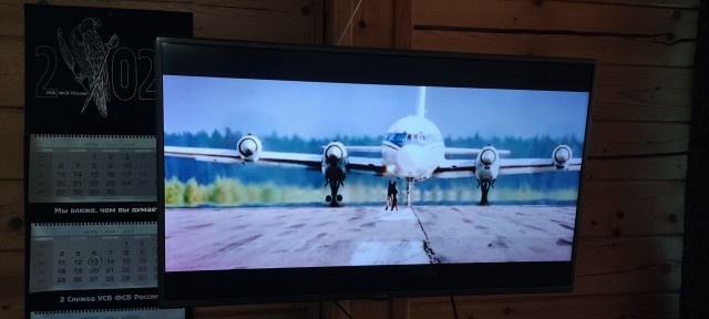 Не захотели платить за перевозку: в аэропорту Орска хозяева бросили кота