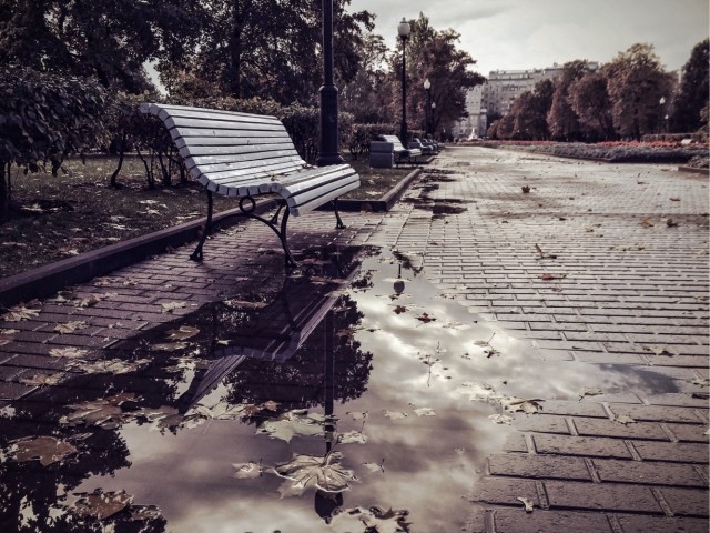Поделимся красивыми фото с телефона?