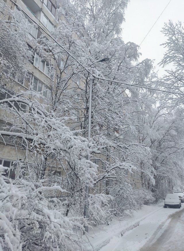 И у нас весна!