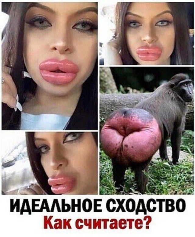 Картинки и мемы, всяко - 169