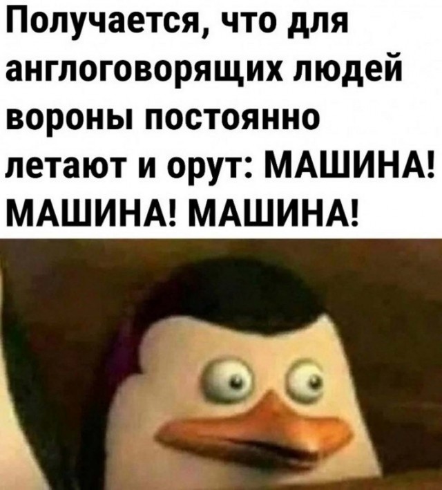Нуштош 30.04.2023