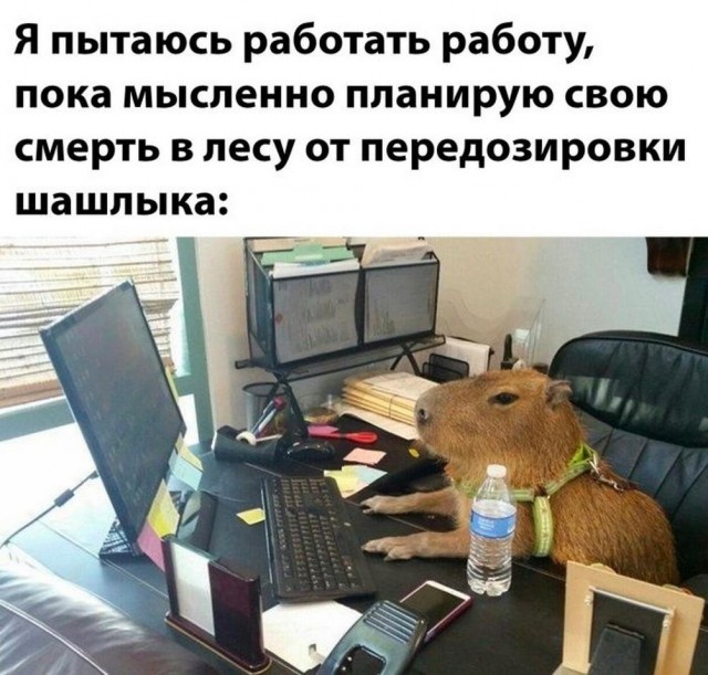 Картинки и мемы, это май-чародей всяко разно - 177