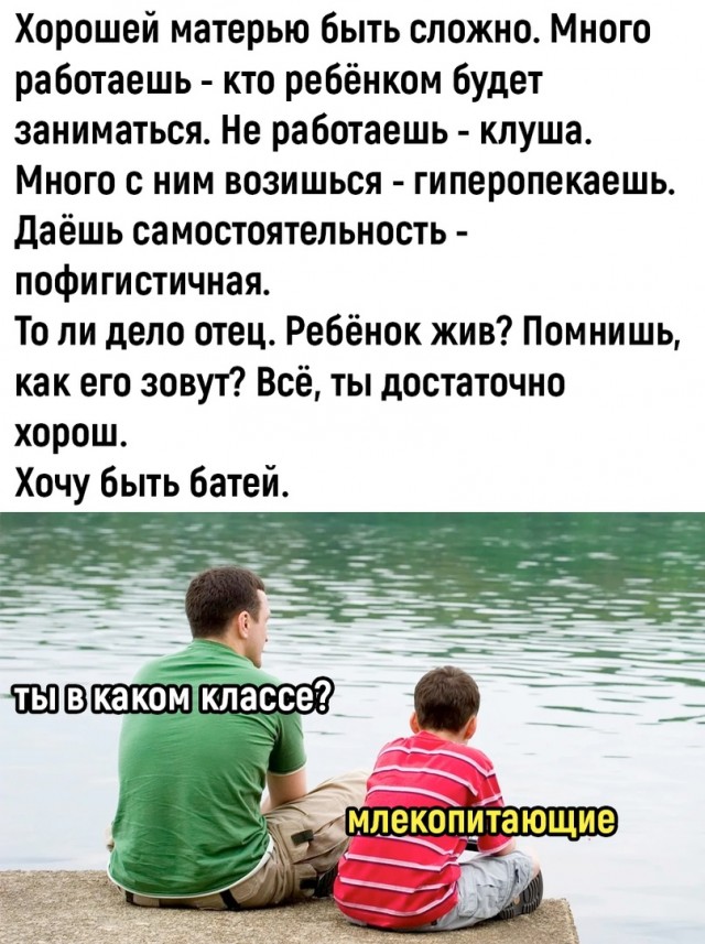 Так себе картинки 17.06.23