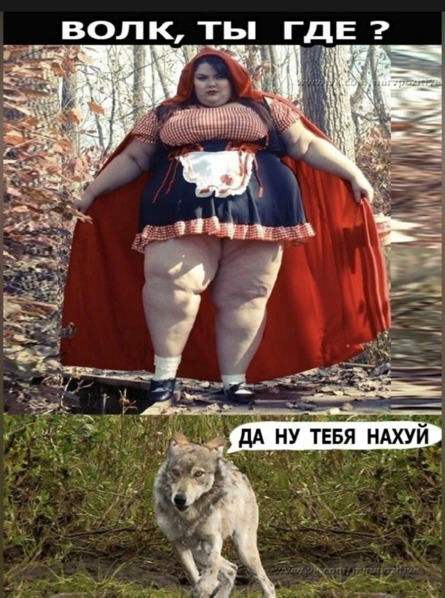 Мужики, одумайтесь! Памятка одинокому мужчине при переезде из города в деревню
