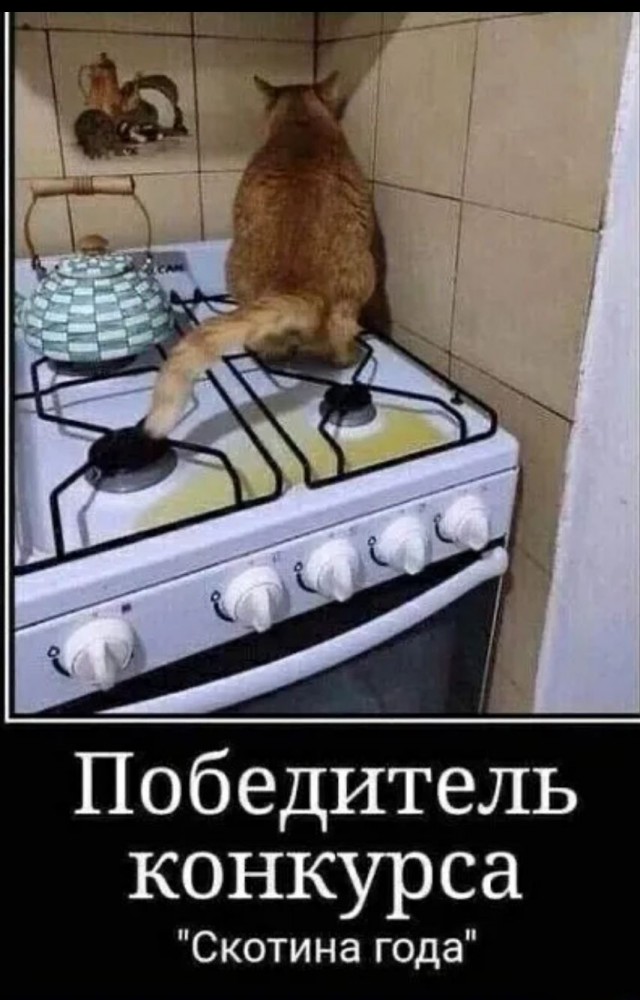 Отряд быстрого деградирования