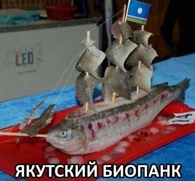 Нуштош 08.11.2023