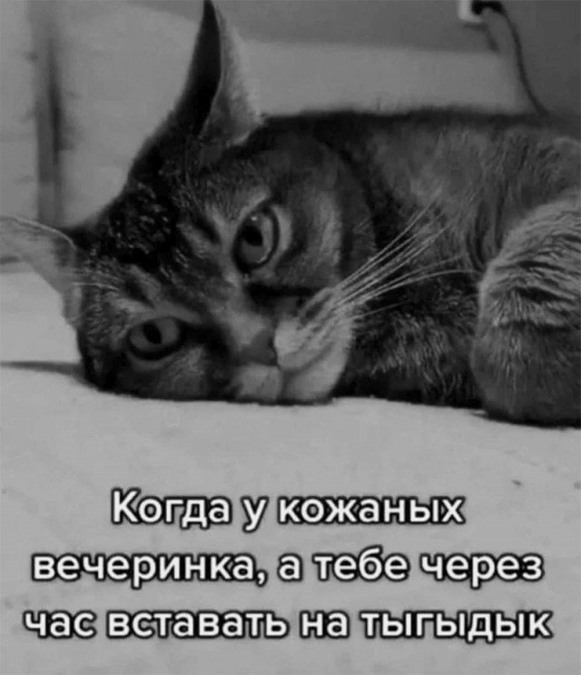 Немного картинок и прочей хреноты Vol. 25
