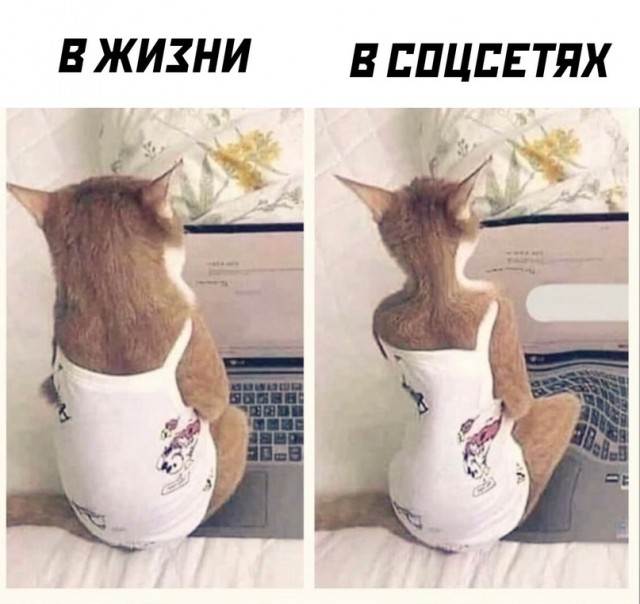 Недопятница 09-11-2023