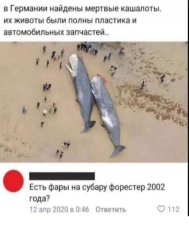 Так себе картинки 20.11.23