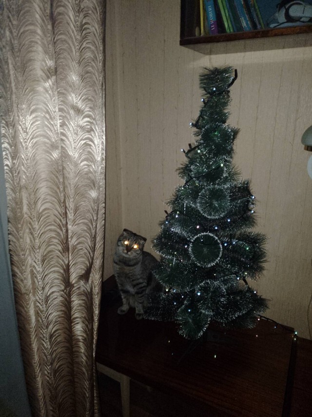 Моника