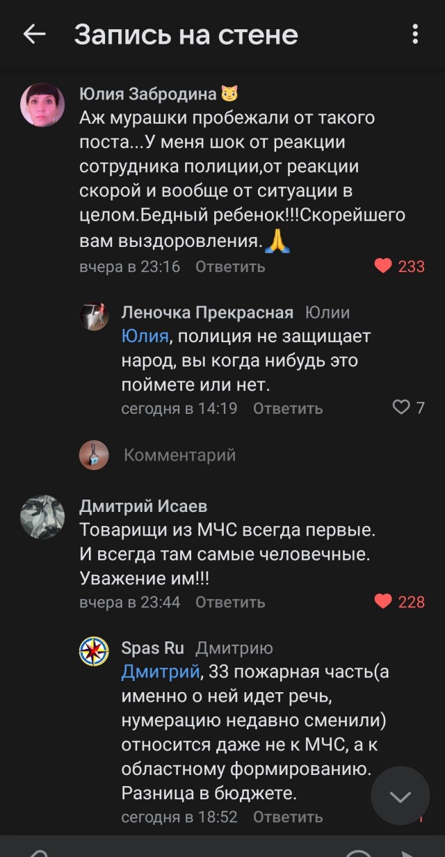 В Ивановской области покусанной собаками девочке не смогли оказать медицинскую помощь
