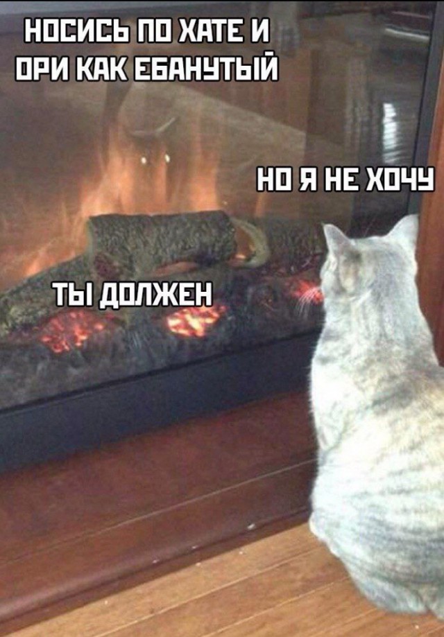 Всего понемногу. От 29.01.24