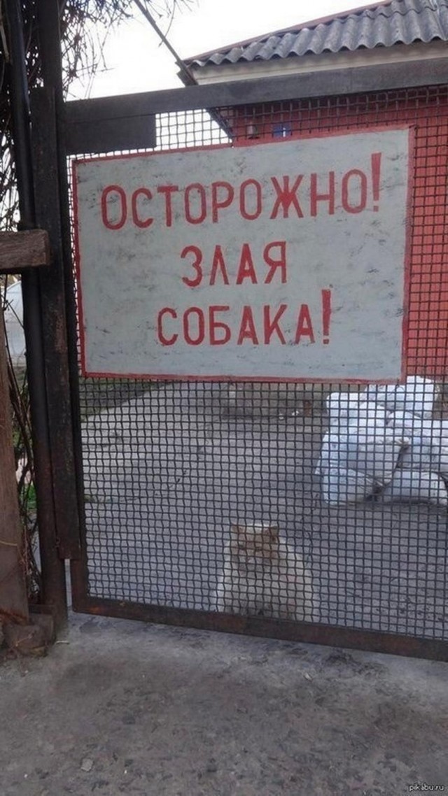 Прикольные и просто красивые картинки 16.02.2024