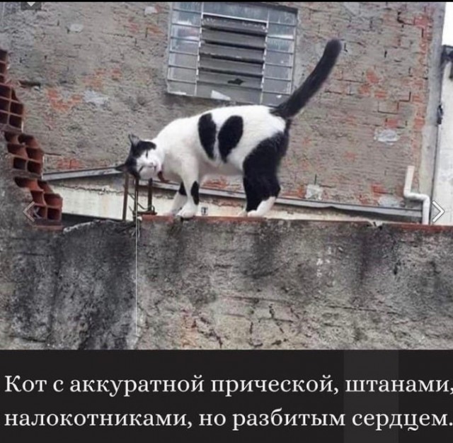 Всего понемногу. От 25.02.24