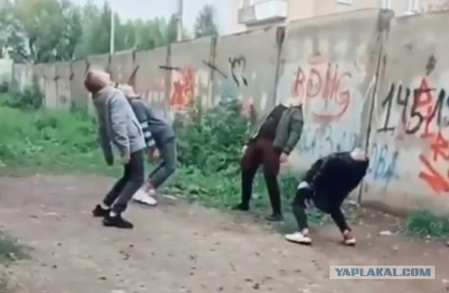 Утки впервые увидели ливень и зависли