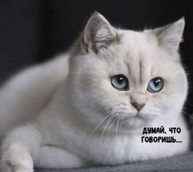 Народная меДИЧина 1037