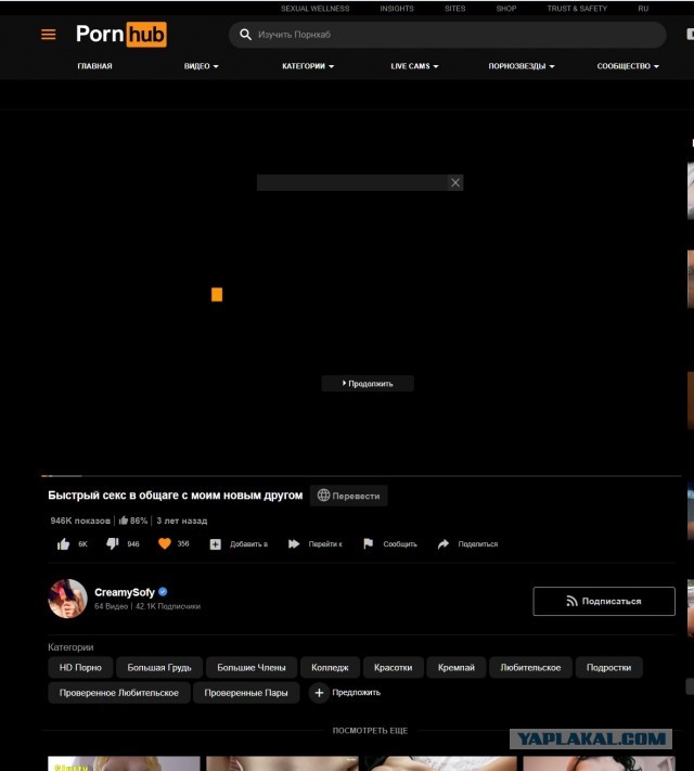 Порнхаб все?