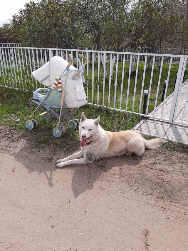 От сумы и тюрьмы не зарекайся...