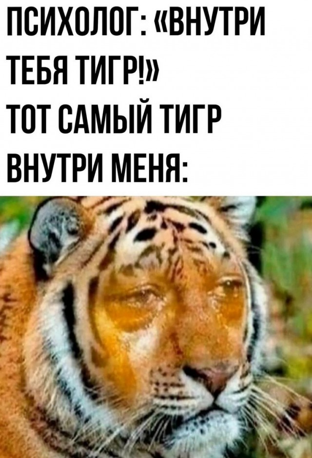 Завалялось тут случайно немного забавных картинок