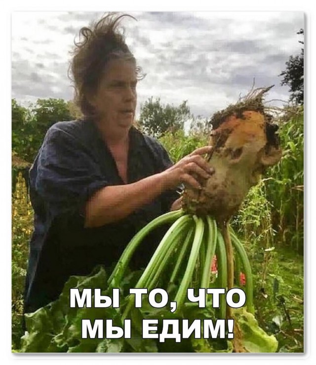 Всего понемногу. От 10.02.2025