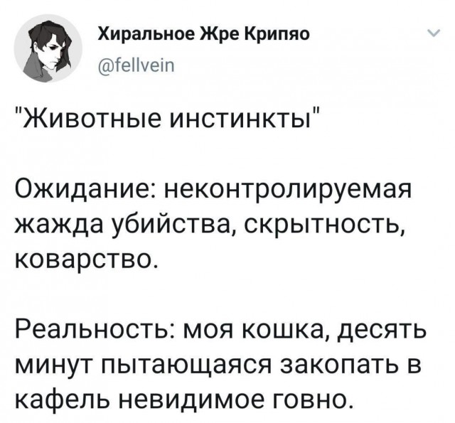 Немного забавных картинок от 13.02.2025