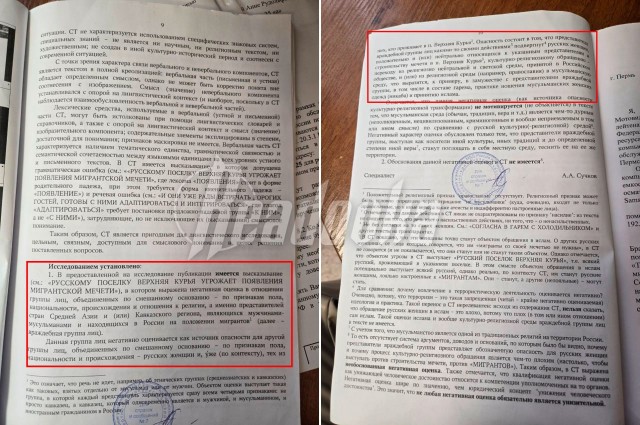 Против Анны Пьянзиной возбудили уголовное дело по 282 статье