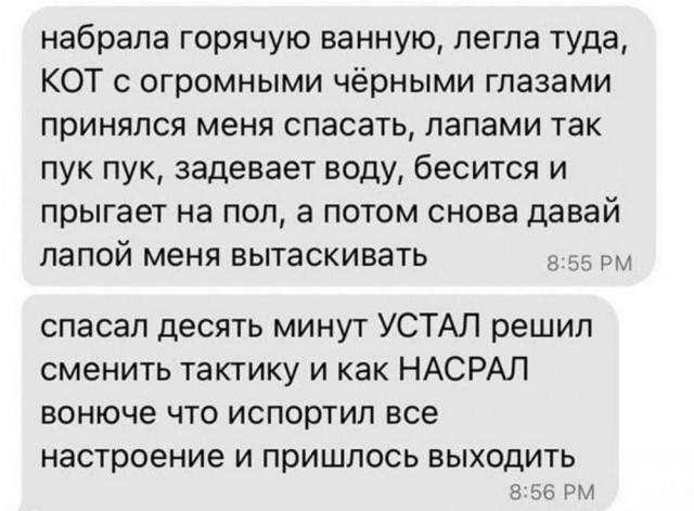 Маленькая пятница 12.03.25