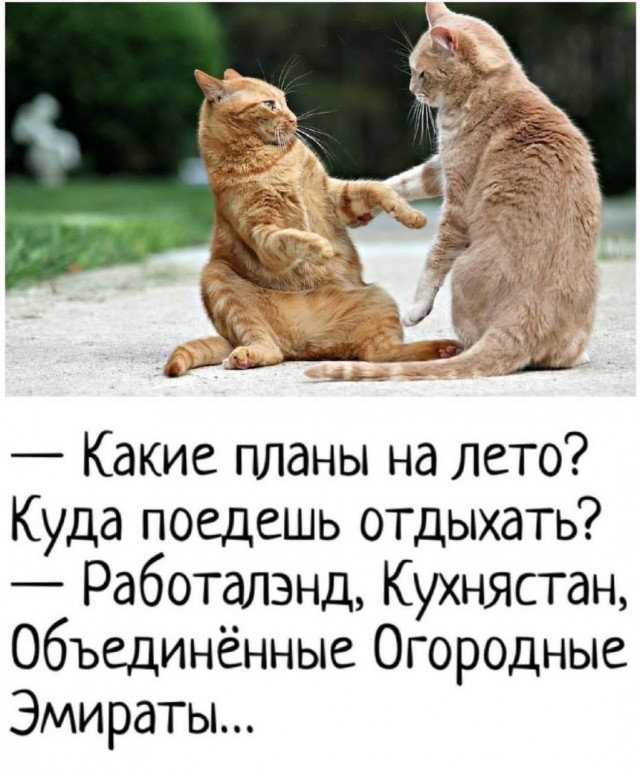 Так себе картинки 19.04.25