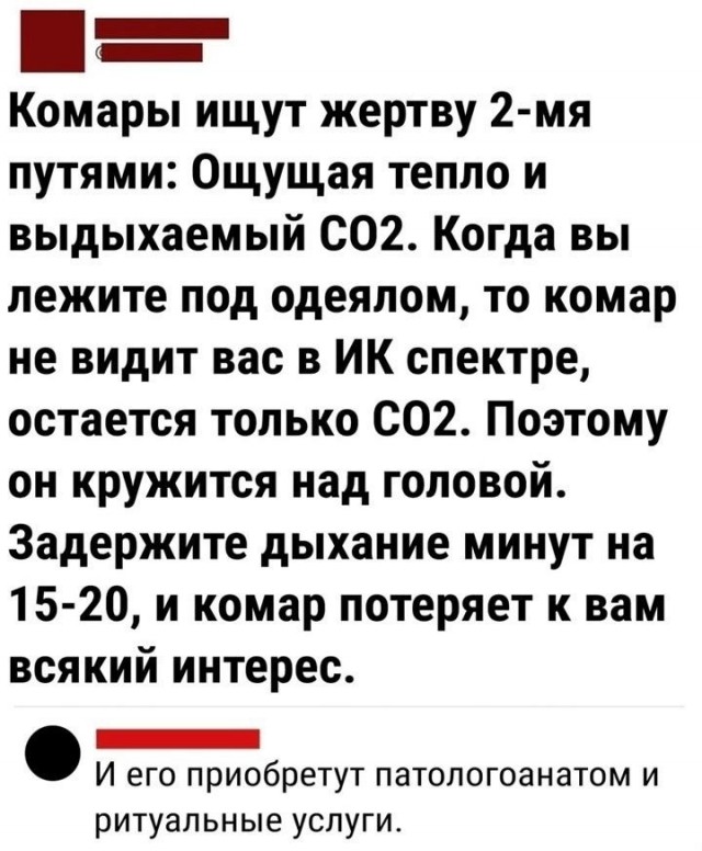 Так себе картинки 19.05.25
