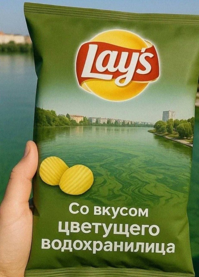 Отсутствие морально этических норм Vol.30