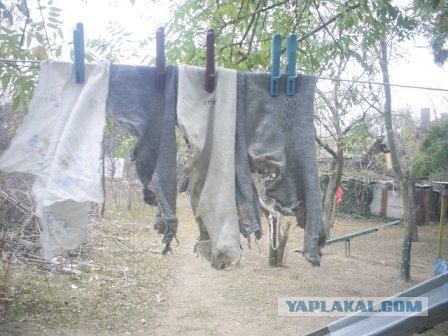 Без названия.