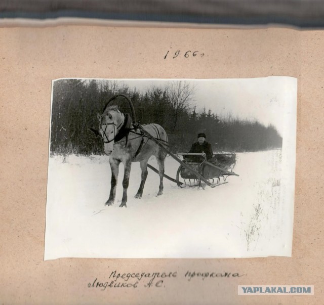 Фотохроника "загнивающего совка". Часть 9