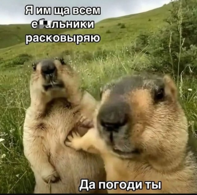 Завалялось тут случайно немного забавных картинок