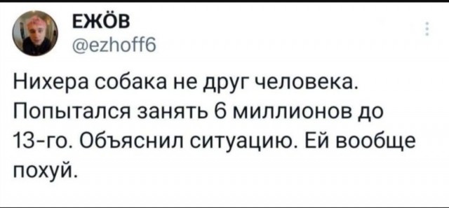 Картинки для деградации-4 (разной степени свежести)