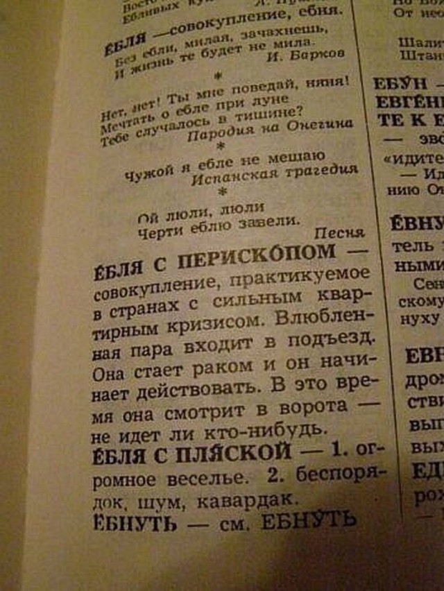 Веселое настроение в картинках (05.08.2025)