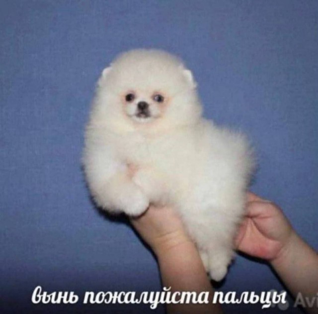 Так себе картинки 13.08.25