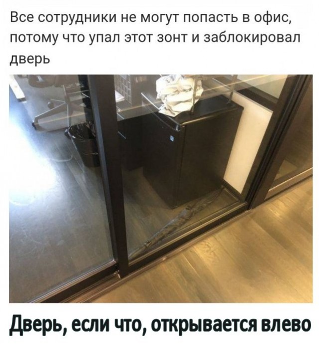 Так себе картинки 24.08.25