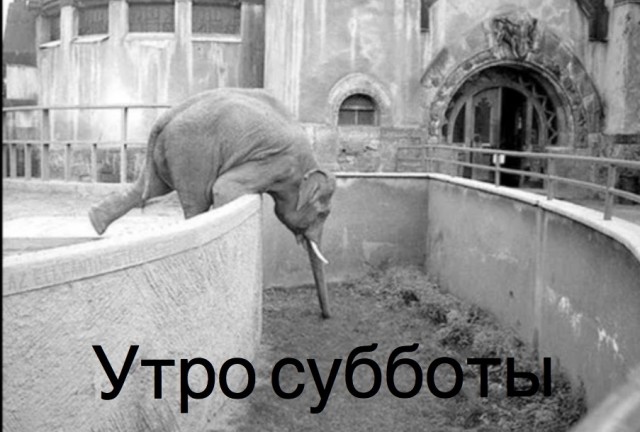 Веселое настроение в картинках (08.11.2025)