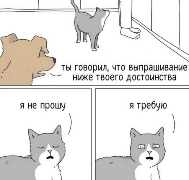 Вторник. Немного картинок
