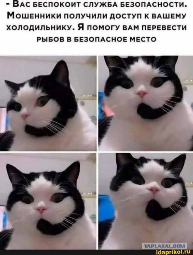 Среды картинки