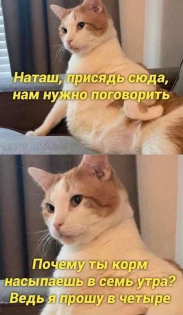Пятницы картинки