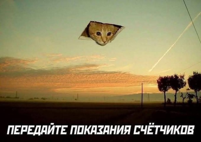 Маленькая пятница 24.12