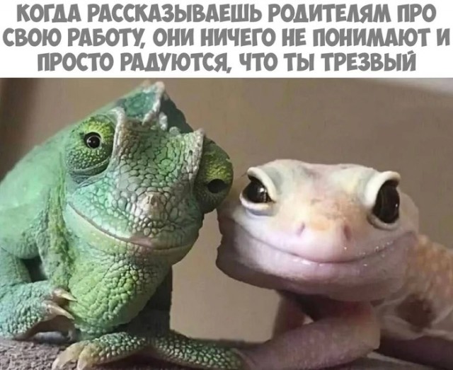 Субботние картинки