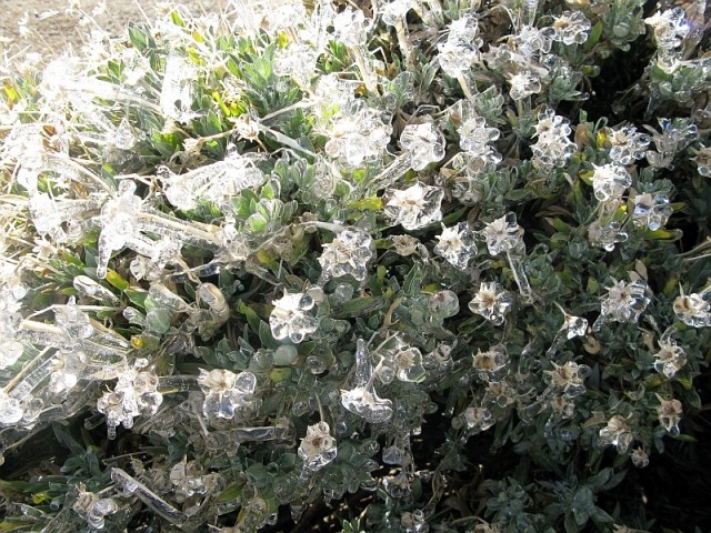 Ледяной дождь 03.05.24 (Лен.обл)