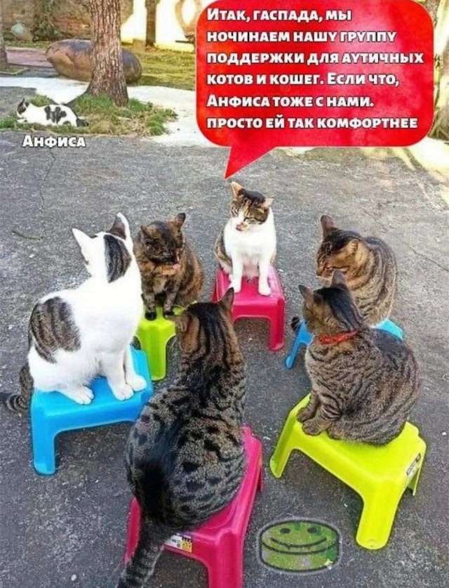 Психомемы-6